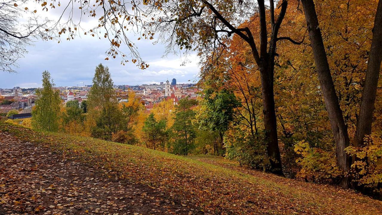 Gyneju Exclusive Lägenhet Vilnius Exteriör bild